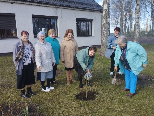 Pēc pasākuma "Mēs tikāmies martā", kas bija veltīts vokālās interešu grupas "Ivuški" 10 gadu jubilejai stādām dāvināto kociņu.